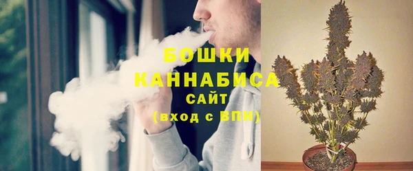прущие грибы Абаза