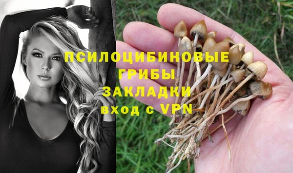 круглые Коряжма