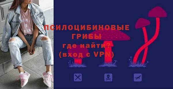 прущие грибы Абаза