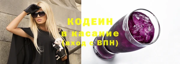 прущие грибы Абаза