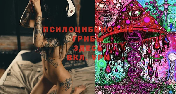 гидропоника Абдулино