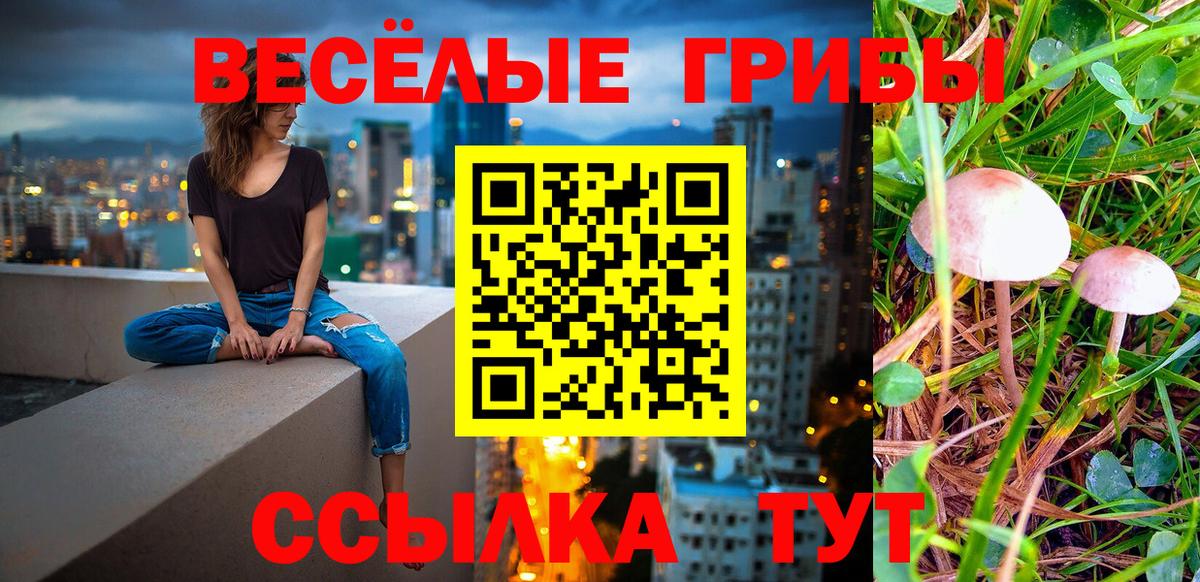 Псилоцибиновые грибы Psilocybe  Вход с VPN  Каменск-Уральский 