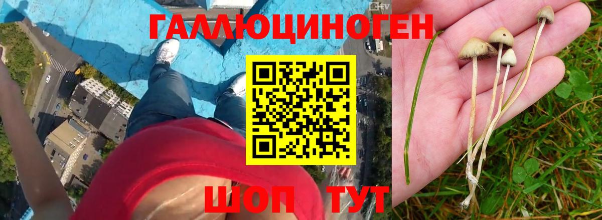 Галлюциногенные грибы ЛСД Каменск-Уральский